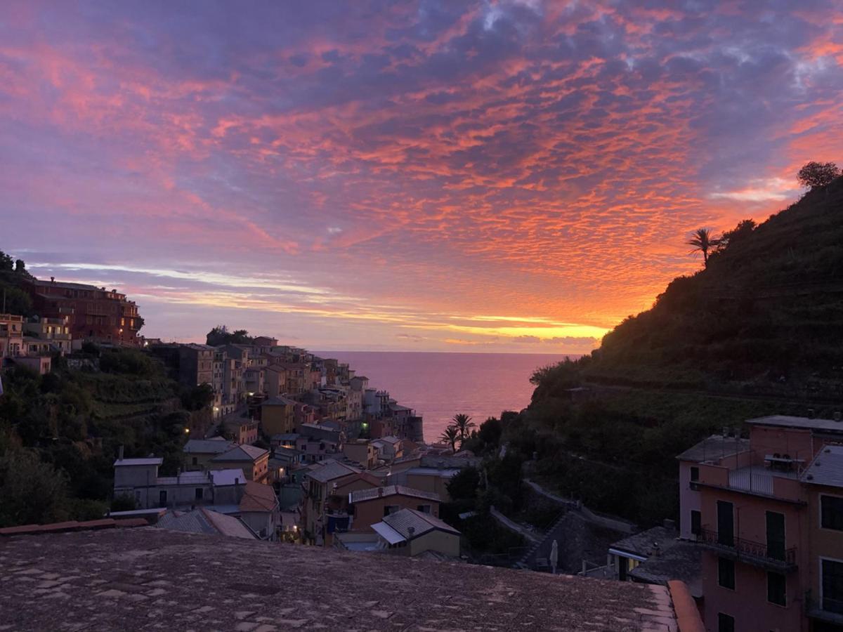 La Casa Del Gallerista Manarola Dış mekan fotoğraf